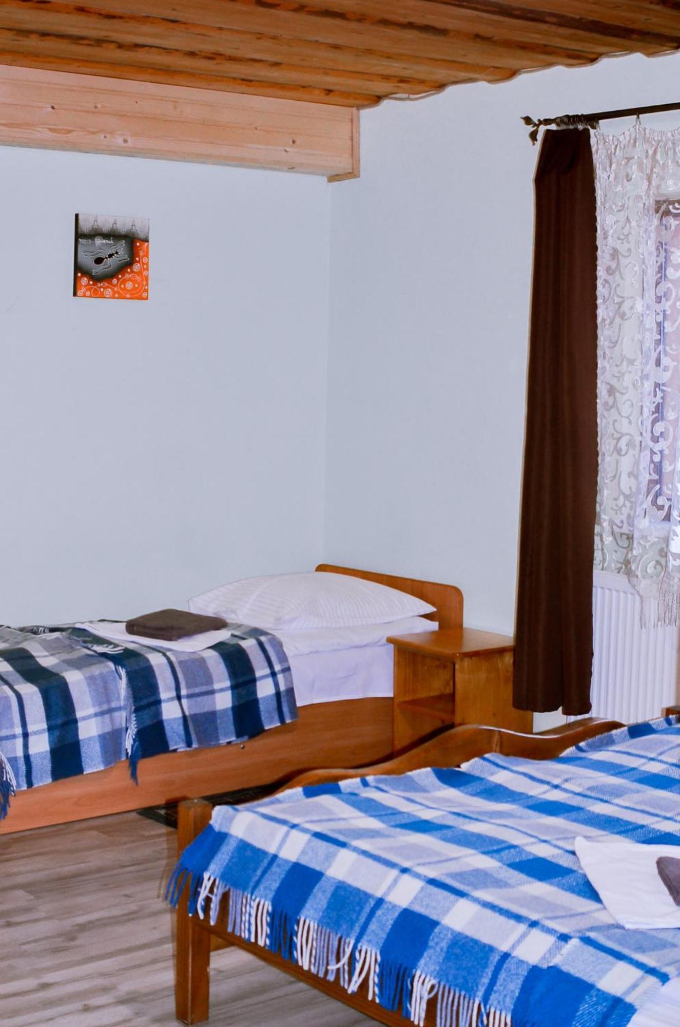 Guest House Mandrivnyi Rooms&Apartments Yasinya Exterior foto